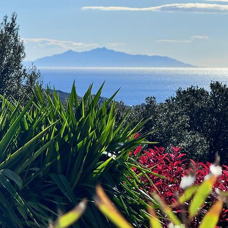 Gite Independant Dans Villa Entre Mer Et Maquis Sisco エクステリア 写真