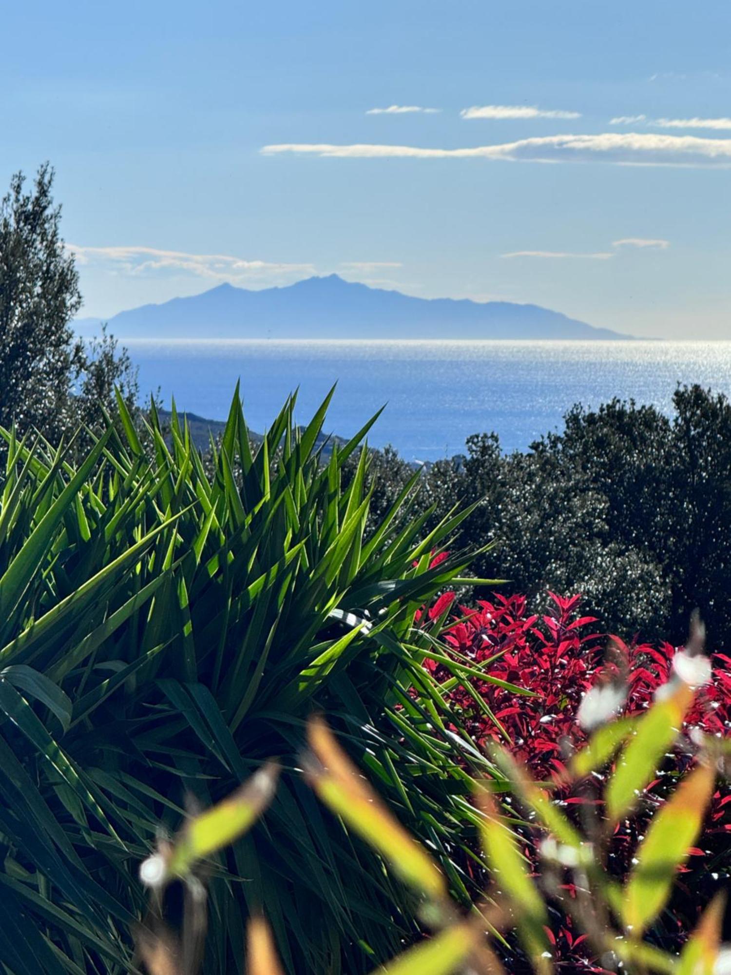 Gite Independant Dans Villa Entre Mer Et Maquis Sisco エクステリア 写真